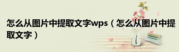 怎么从图片中提取文字wps（怎么从图片中提取文字）