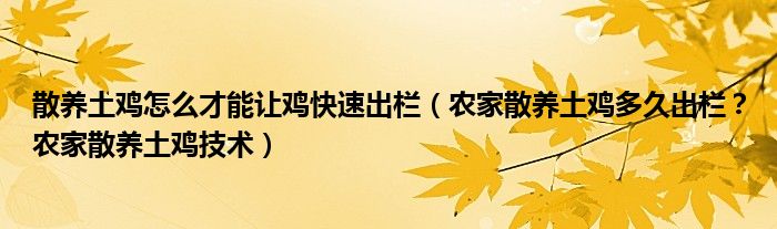 散养土鸡怎么才能让鸡快速出栏（农家散养土鸡多久出栏？农家散养土鸡技术）