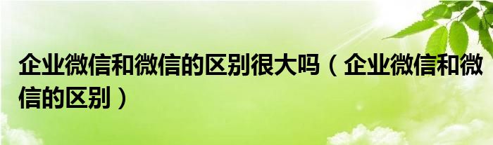 企业微信和微信的区别很大吗（企业微信和微信的区别）