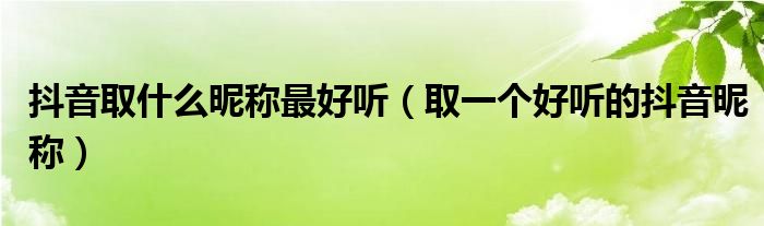 抖音取什么昵称最好听（取一个好听的抖音昵称）