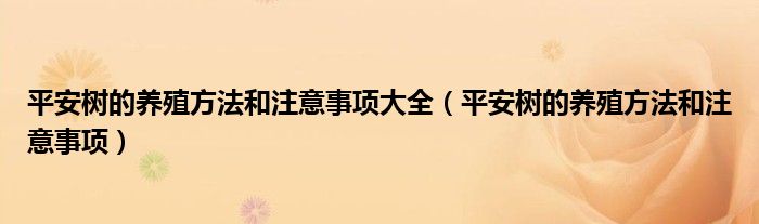 平安树的养殖方法和注意事项大全（平安树的养殖方法和注意事项）