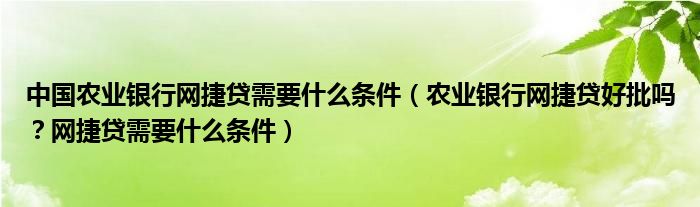 中国农业银行网捷贷需要什么条件（农业银行网捷贷好批吗？网捷贷需要什么条件）