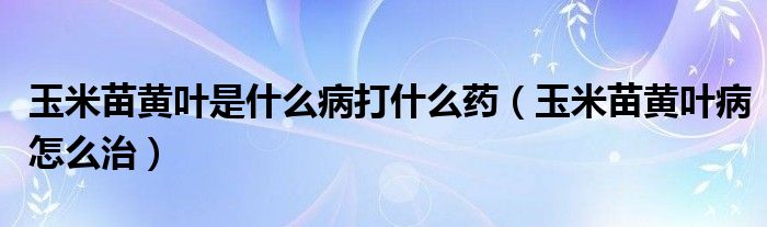 玉米苗黄叶是什么病打什么药（玉米苗黄叶病怎么治）