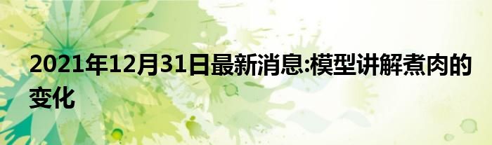 2021年12月31日最新消息:模型讲解煮肉的变化