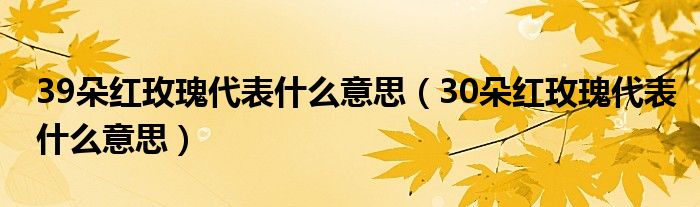 39朵红玫瑰代表什么意思（30朵红玫瑰代表什么意思）