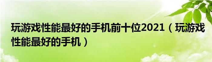 玩游戏性能最好的手机前十位2021（玩游戏性能最好的手机）