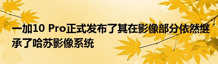 一加10 Pro正式发布了其在影像部分依然继承了哈苏影像系统