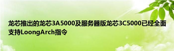 龙芯推出的龙芯3A5000及服务器版龙芯3C5000已经全面支持LoongArch指令