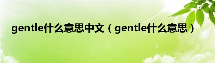 gentle什么意思中文（gentle什么意思）