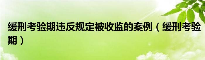 缓刑考验期违反规定被收监的案例（缓刑考验期）