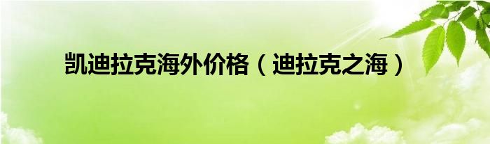 凯迪拉克海外价格（迪拉克之海）