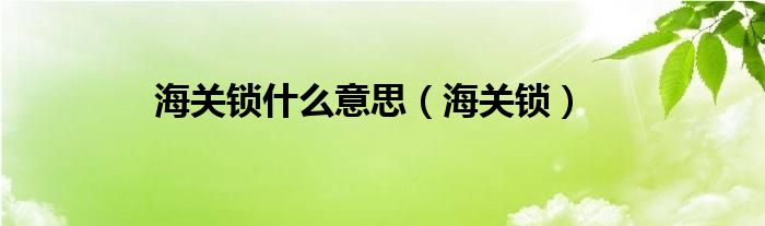 海关锁什么意思（海关锁）