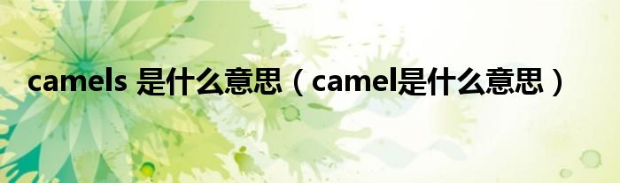 camels 是什么意思（camel是什么意思）