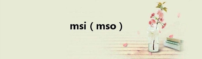 msi（mso）