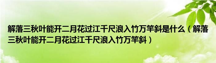 解落三秋叶能开二月花过江千尺浪入竹万竿斜是什么（解落三秋叶能开二月花过江千尺浪入竹万竿斜）