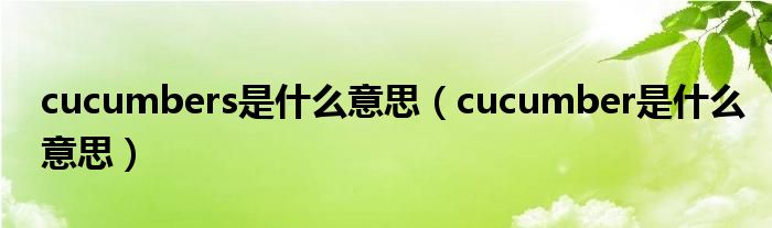 cucumbers是什么意思（cucumber是什么意思）