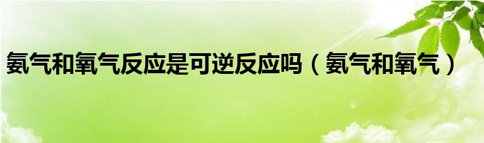 氨气和氧气反应是可逆反应吗（氨气和氧气）