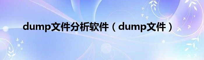 dump文件分析软件（dump文件）