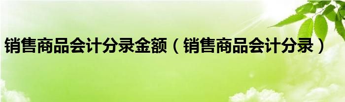 销售商品会计分录金额（销售商品会计分录）