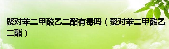 聚对苯二甲酸乙二酯有毒吗（聚对苯二甲酸乙二酯）