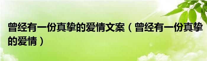 曾经有一份真挚的爱情文案（曾经有一份真挚的爱情）