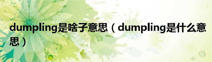 dumpling是啥子意思（dumpling是什么意思）