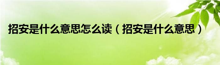 招安是什么意思怎么读（招安是什么意思）