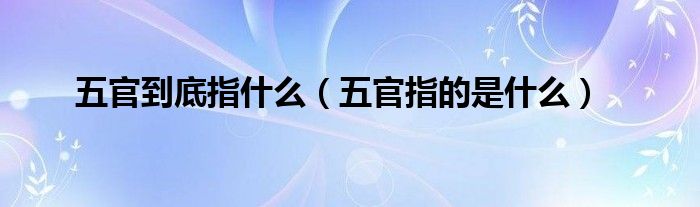 五官到底指什么（五官指的是什么）