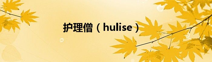 护理僧（hulise）