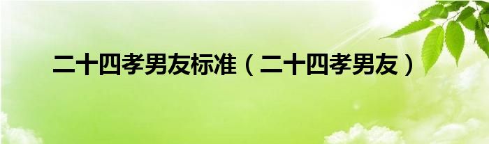 二十四孝男友标准（二十四孝男友）