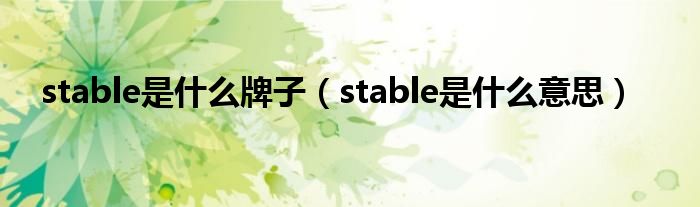 stable是什么牌子（stable是什么意思）