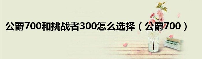 公爵700和挑战者300怎么选择（公爵700）