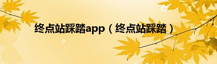 终点站踩踏app（终点站踩踏）