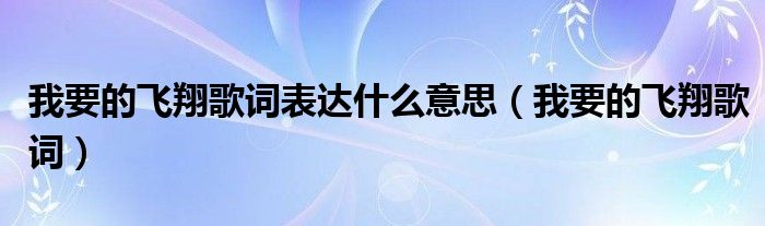 我要的飞翔歌词表达什么意思（我要的飞翔歌词）