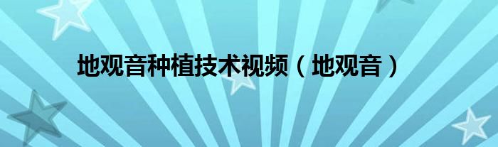 地观音种植技术视频（地观音）