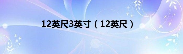 12英尺3英寸（12英尺）