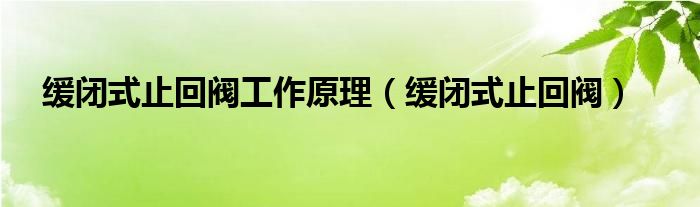 缓闭式止回阀工作原理（缓闭式止回阀）