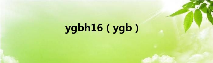 ygbh16（ygb）