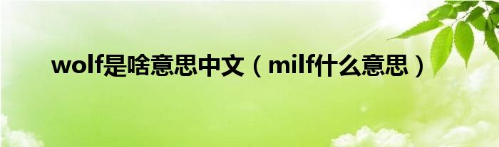 wolf是啥意思中文（milf什么意思）