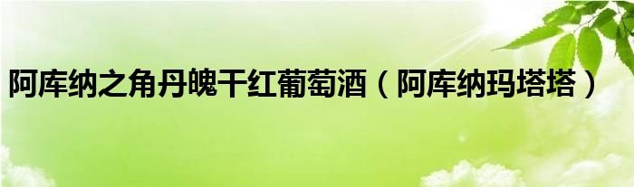 阿库纳之角丹魄干红葡萄酒（阿库纳玛塔塔）