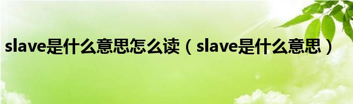 slave是什么意思怎么读（slave是什么意思）