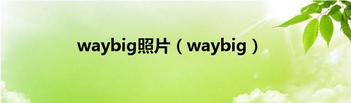 waybig照片（waybig）