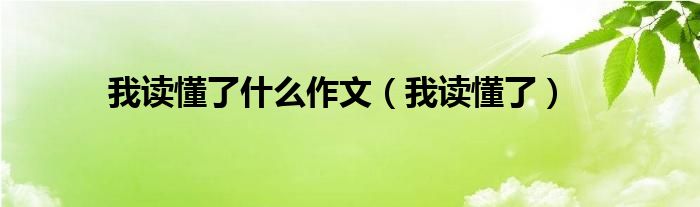 我读懂了什么作文（我读懂了）