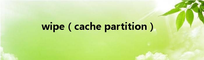 wipe（cache partition）