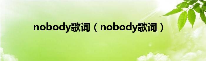 nobody歌词（nobody歌词）