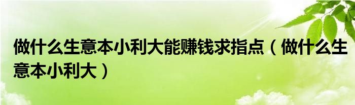 做什么生意本小利大能赚钱求指点（做什么生意本小利大）