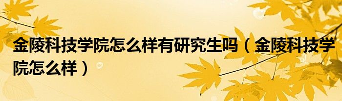 金陵科技学院怎么样有研究生吗（金陵科技学院怎么样）