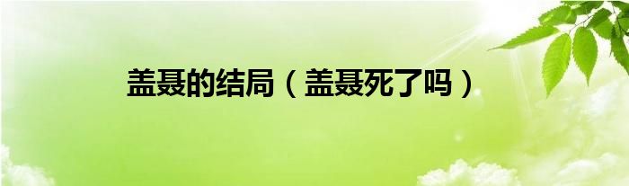 盖聂的结局（盖聂死了吗）