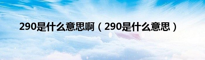 290是什么意思啊（290是什么意思）