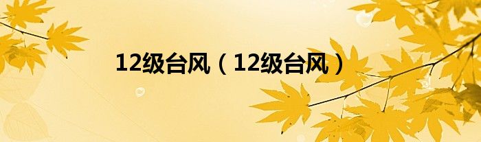 12级台风（12级台风）